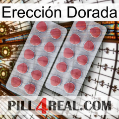 Erección Dorada 19